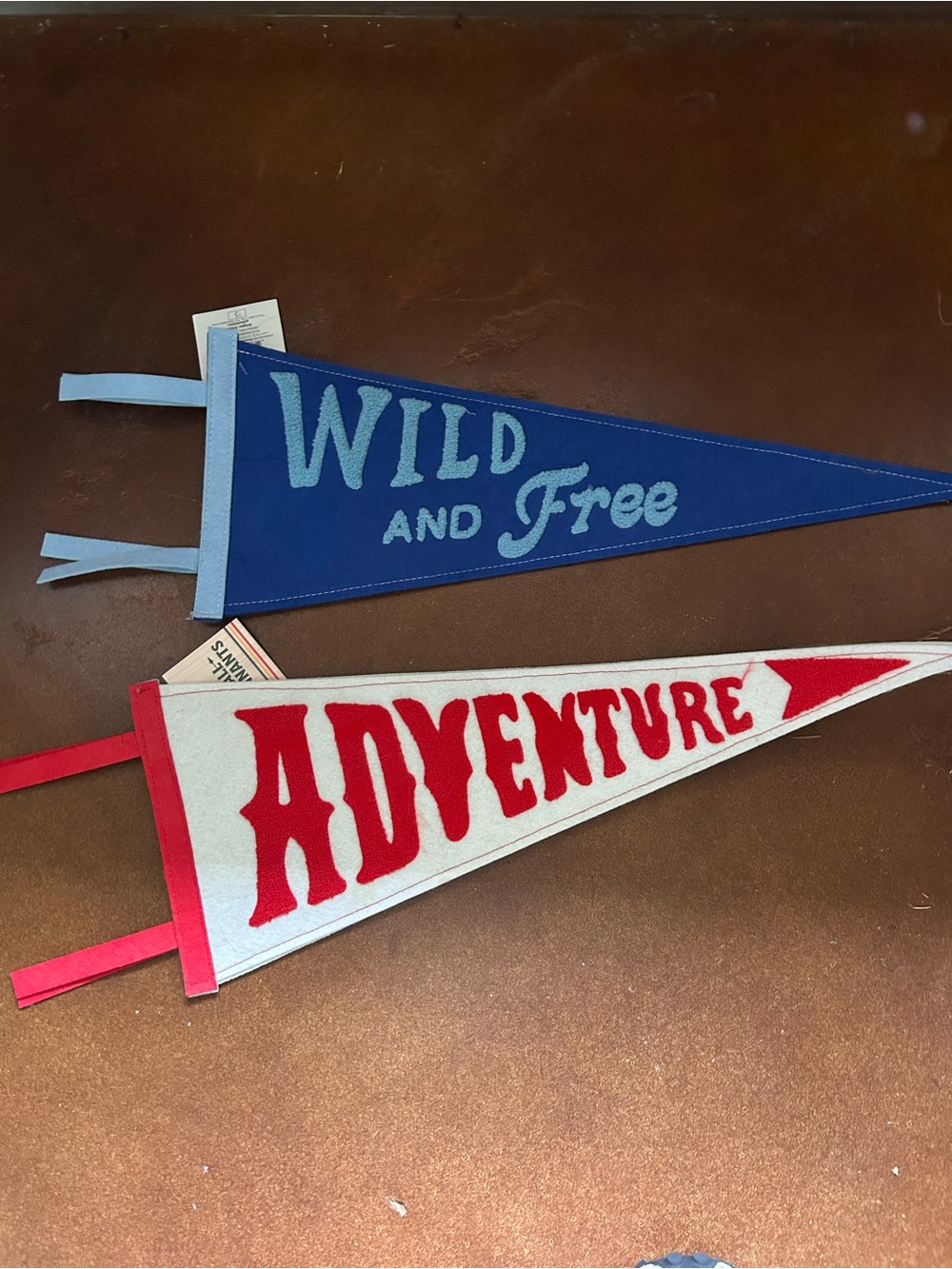 Wild and Free / Adventure Kids Felt Pennant Flags - Blue and Red